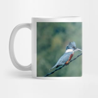 4917 kingfish on watch Mug